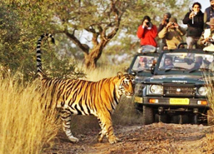 3 Nights 4 Days Ranthambore Agra Tour - Itinerary, Packages