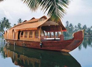 One Day Alleppey Backwater Tours - Houseboat Packages