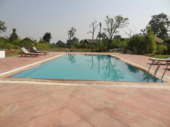 swimming pool tiger lagoon bandhavgarh